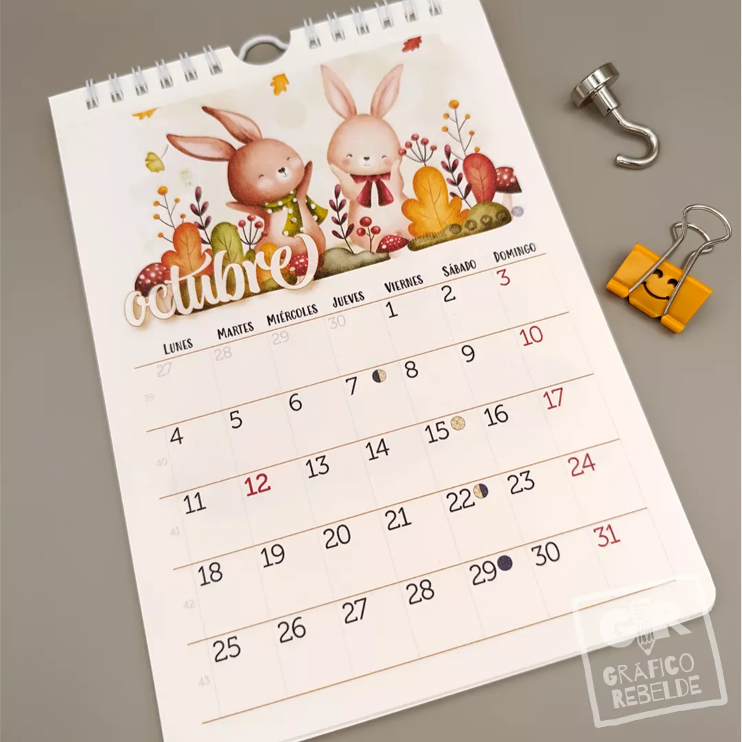 Calendario Ilustrado 2027 de pared con láminas para enmarcar