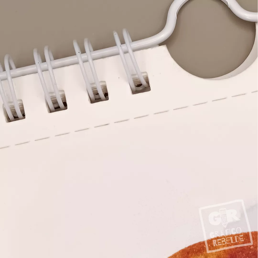 Calendario Ilustrado 2027 de pared con láminas para enmarcar